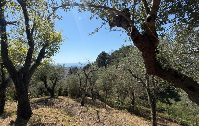 Villa singola in vendita a Massa