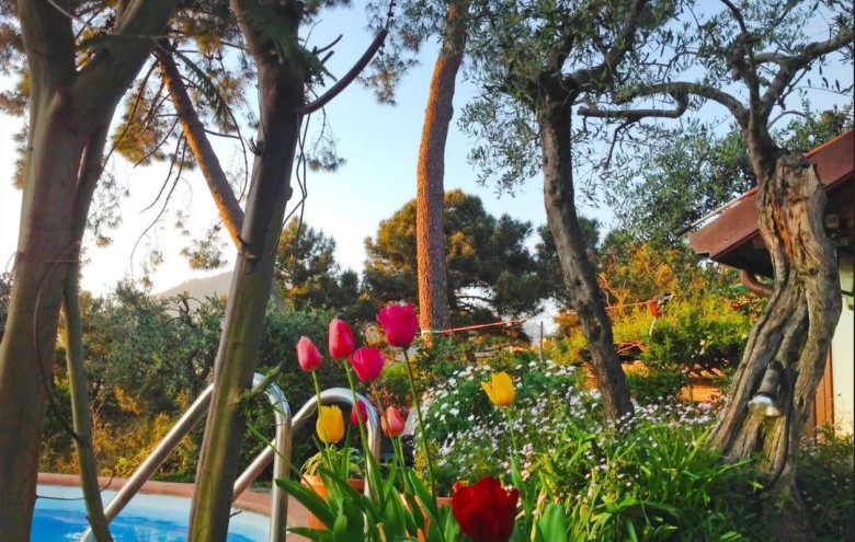 Villa singola in vendita a Massa