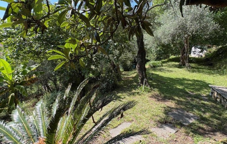 Casa semi indipendente in vendita a Massa