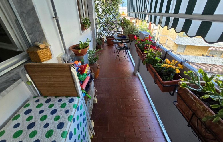 Appartamento in vendita a Carrara
