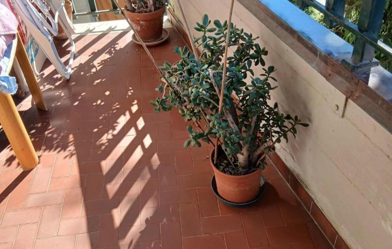 Appartamento in vendita a Massa