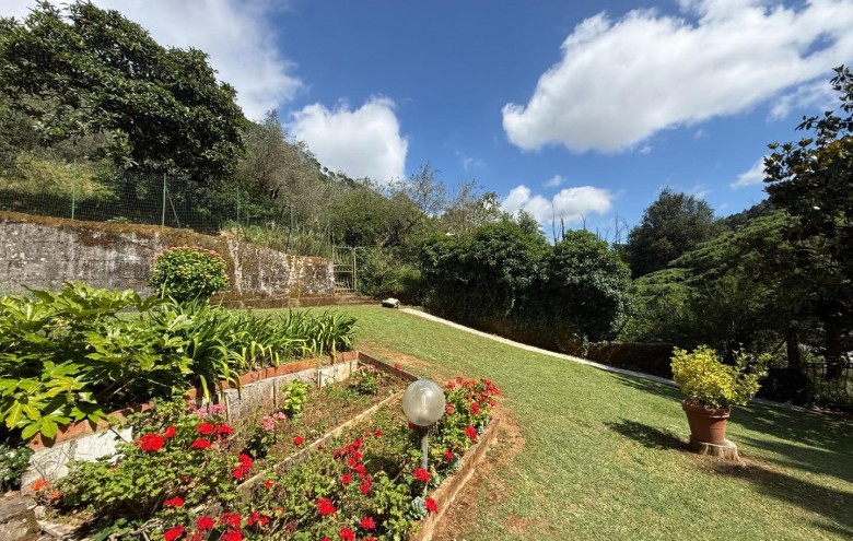 Villa singola in vendita a Massa
