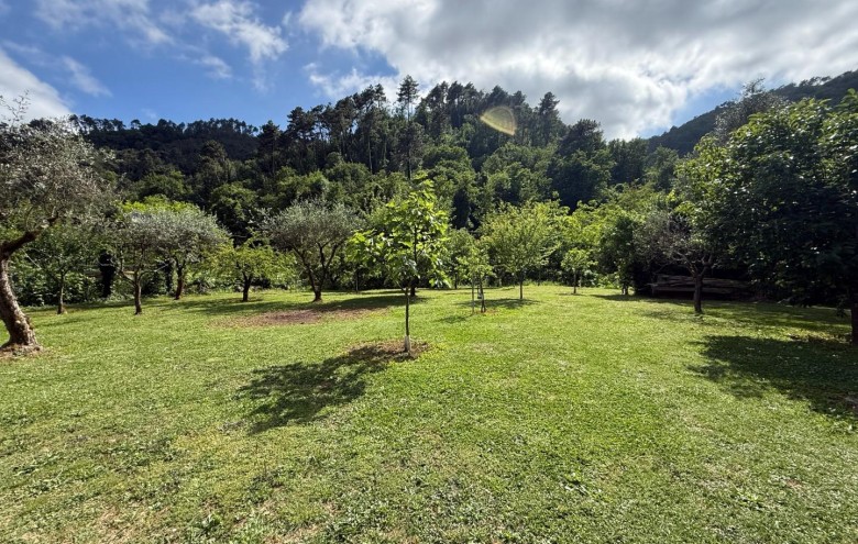 Villa singola in vendita a Massa