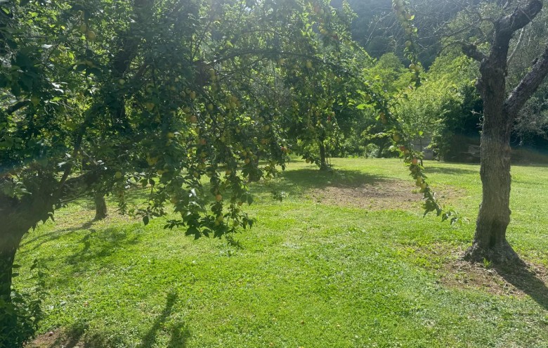 Villa singola in vendita a Massa