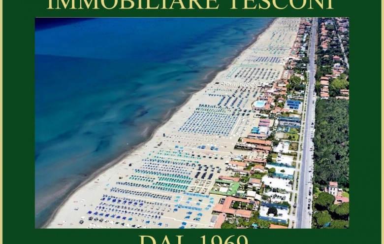 Attività Commerciale in vendita a Pietrasanta