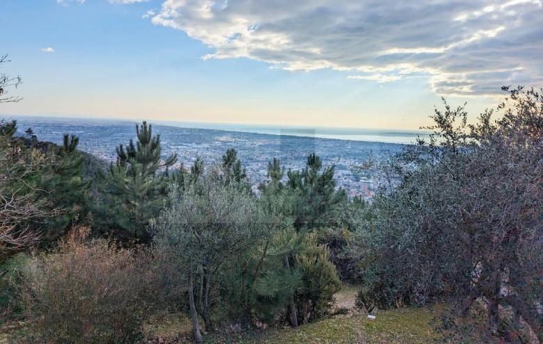 Villetta a schiera in vendita a Pietrasanta