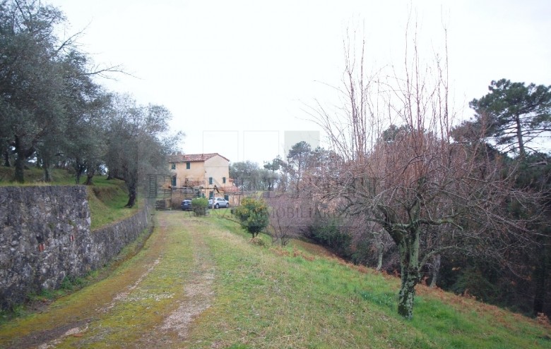 Villetta a schiera in vendita a Pietrasanta