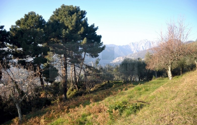 Villetta a schiera in vendita a Pietrasanta