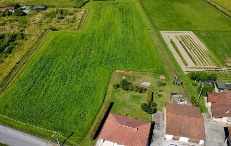 Villa singola in vendita a Pietrasanta