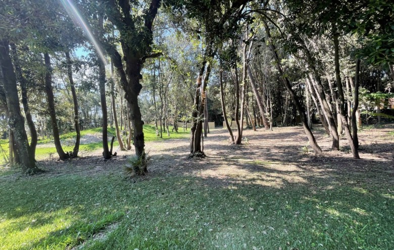 Villa singola in vendita a Pietrasanta