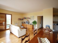 appartamento-in-vendita-a-camaiore-capezzano-pianore