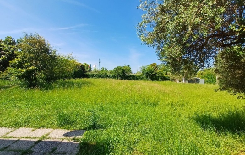 Villa singola in vendita a Pietrasanta