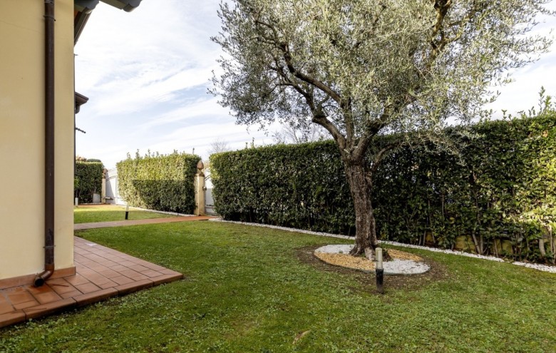 Villa singola in affitto a Pietrasanta