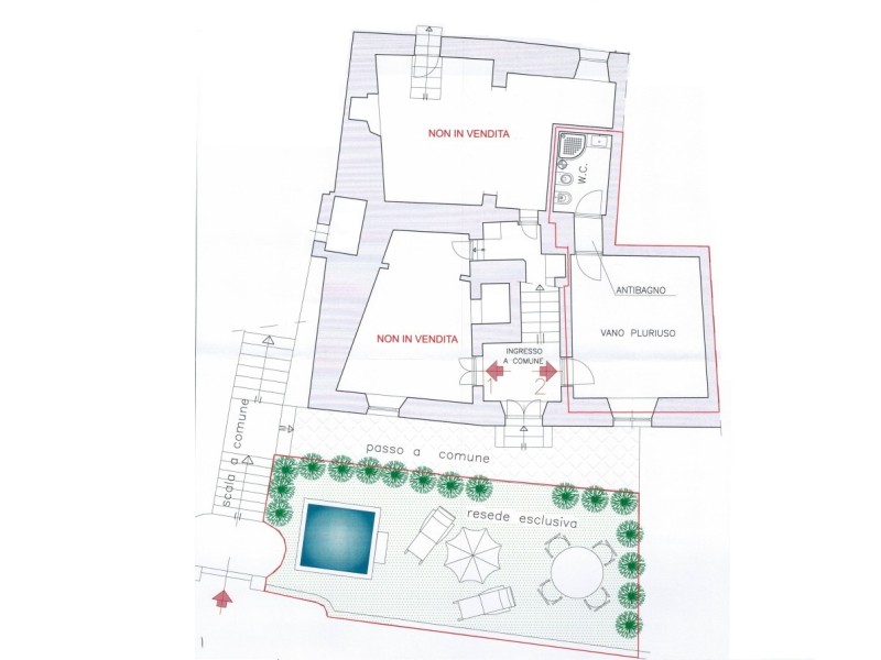 planimetria - Appartamento in vendita a Seravezza