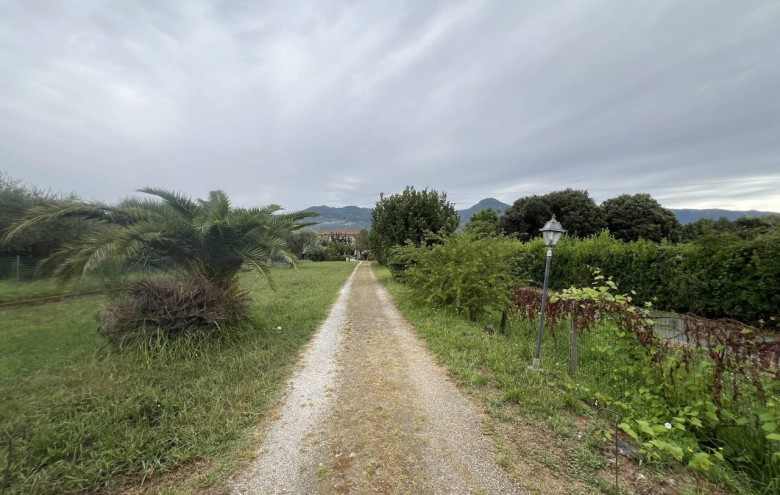 Terratetto in vendita a Pietrasanta