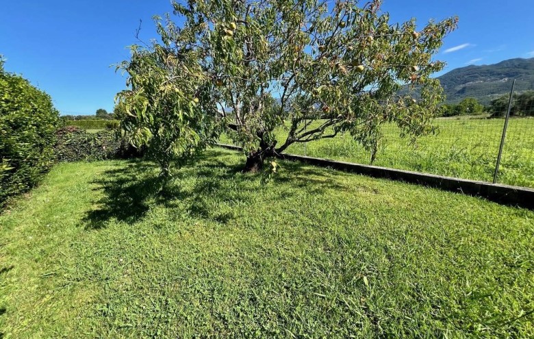 Terratetto in vendita a Pietrasanta