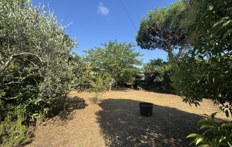 Villa singola in vendita a Viareggio