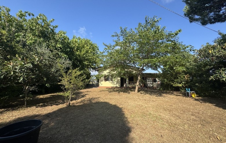 Villa singola in vendita a Viareggio