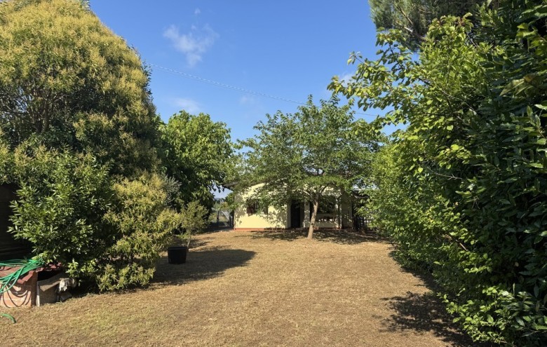 Villa singola in vendita a Viareggio