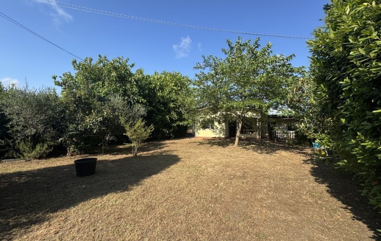 Villa singola in vendita a Viareggio