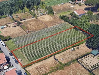 Terreno in vendita a Torre del Lago