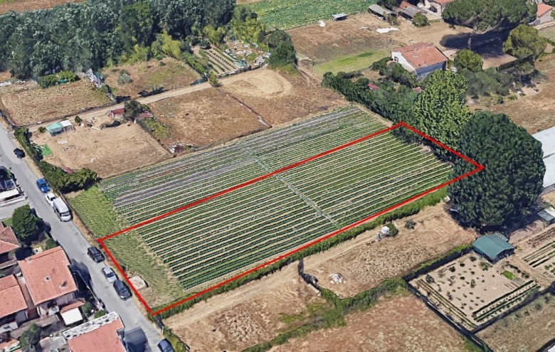Terreno in vendita a Viareggio