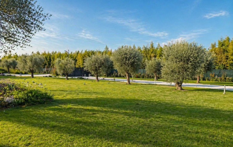 Villa singola in vendita a Pietrasanta