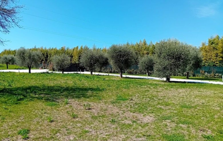 Villa singola in vendita a Pietrasanta