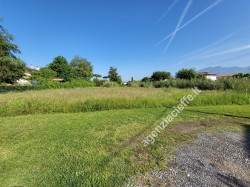 ronchi-a-pochi-minuti-dalla-spiaggia-si-vende-terreno-agricolo