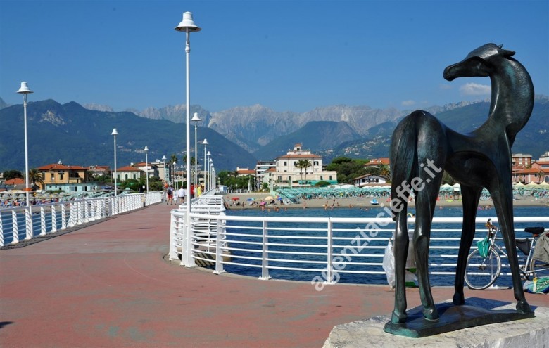 Fondo Commerciale in vendita a Massa