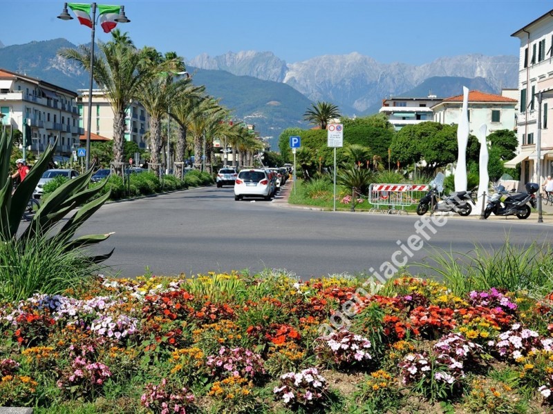 Fondo Commerciale in vendita a Massa