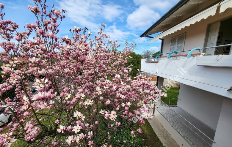 Bifamiliare in vendita a Massa