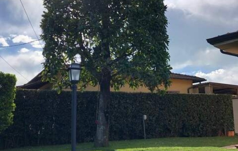 Bifamiliare in affitto a Pietrasanta