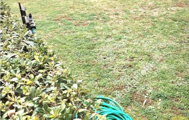 Villetta a schiera in vendita a Massa