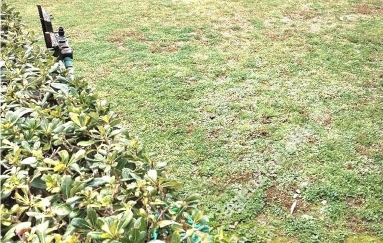 Villetta a schiera in vendita a Massa