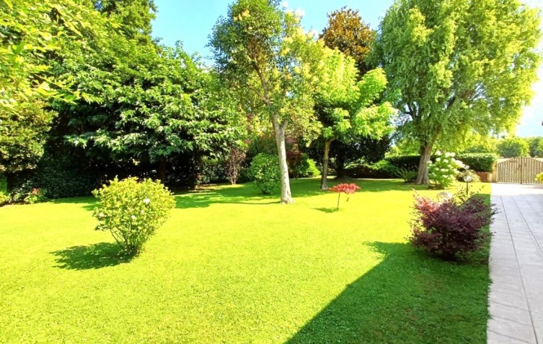 Villa singola in vendita a Pietrasanta