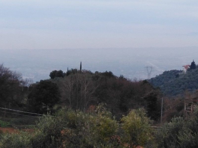 Rustico in vendita a Pietrasanta