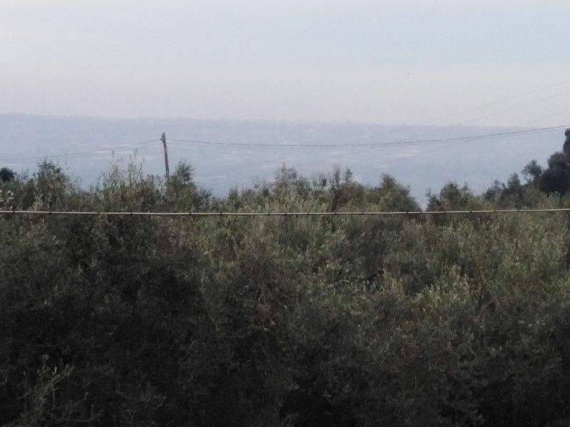Rustico in vendita a Pietrasanta