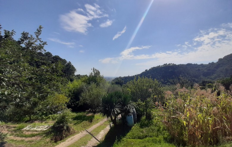 Villa singola in vendita a Pietrasanta