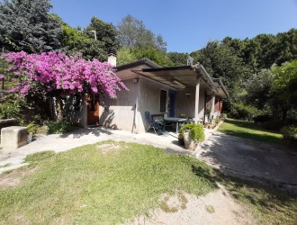 Villa singola in vendita a Strettoia