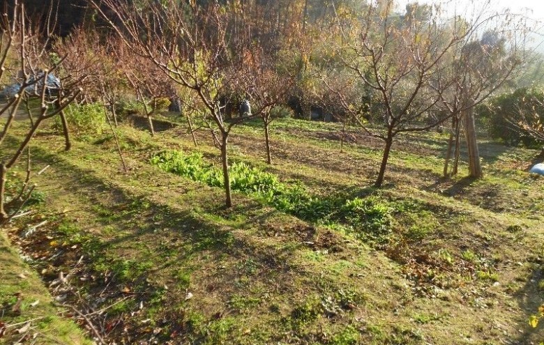 Villa singola in vendita a Pietrasanta