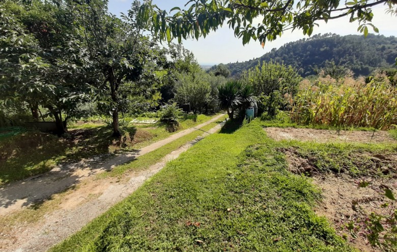 Villa singola in vendita a Pietrasanta