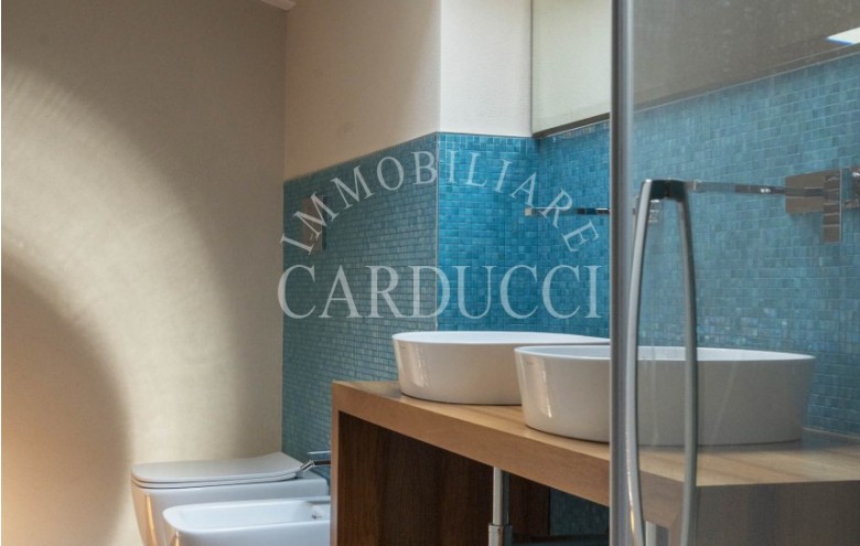 Villa singola in affitto a Pietrasanta