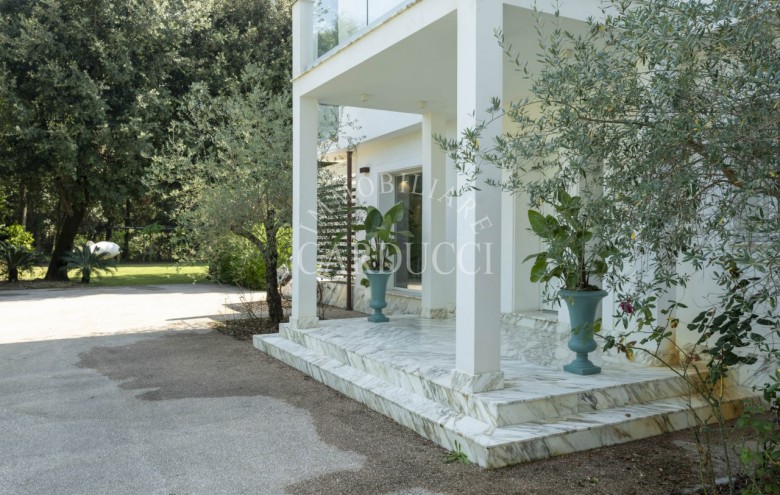 Villa singola in affitto a Pietrasanta