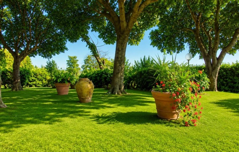 Villa singola in vendita a Pietrasanta
