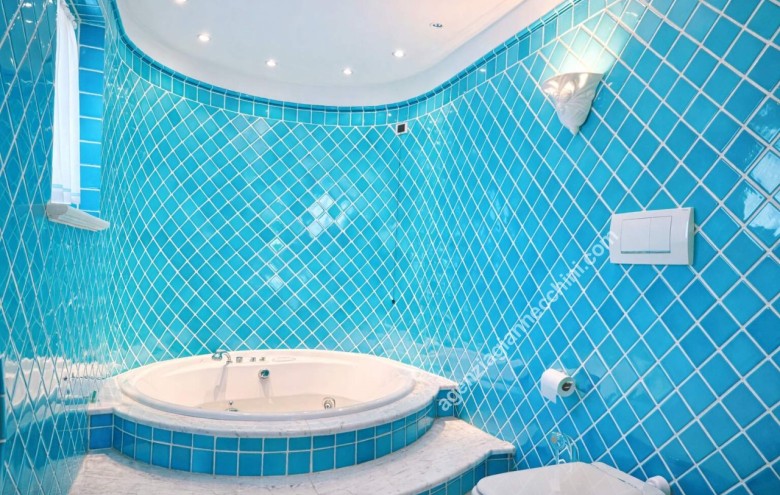 Villa singola in vendita a Forte dei Marmi