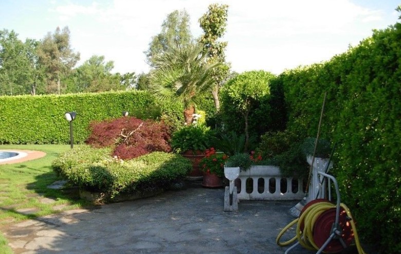 Villa singola in affitto a Pietrasanta