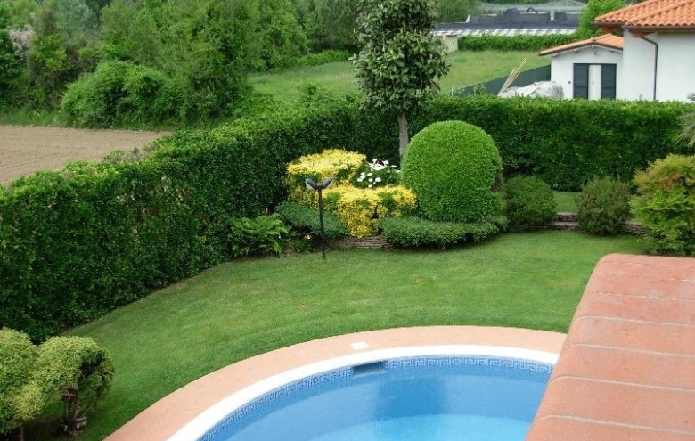 Villa singola in affitto a Pietrasanta