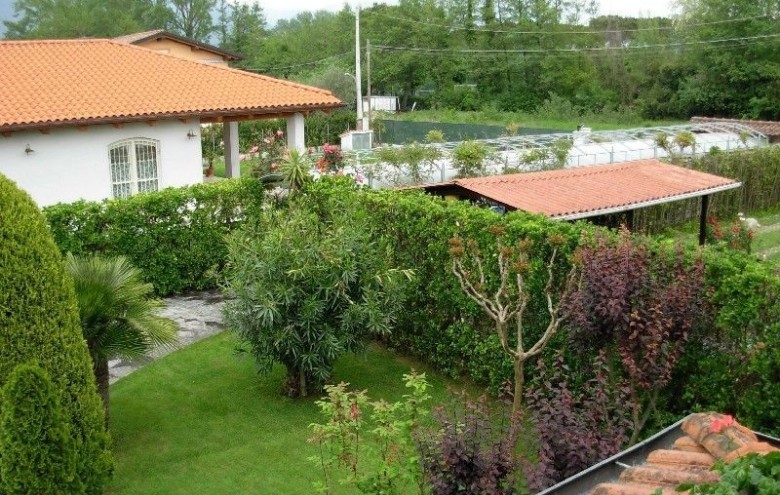 Villa singola in affitto a Pietrasanta