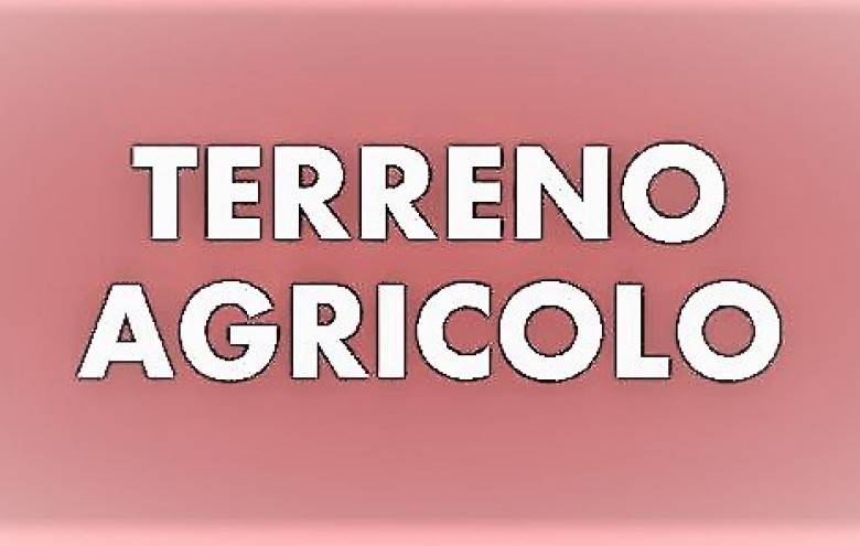 Terreno in vendita a Massa